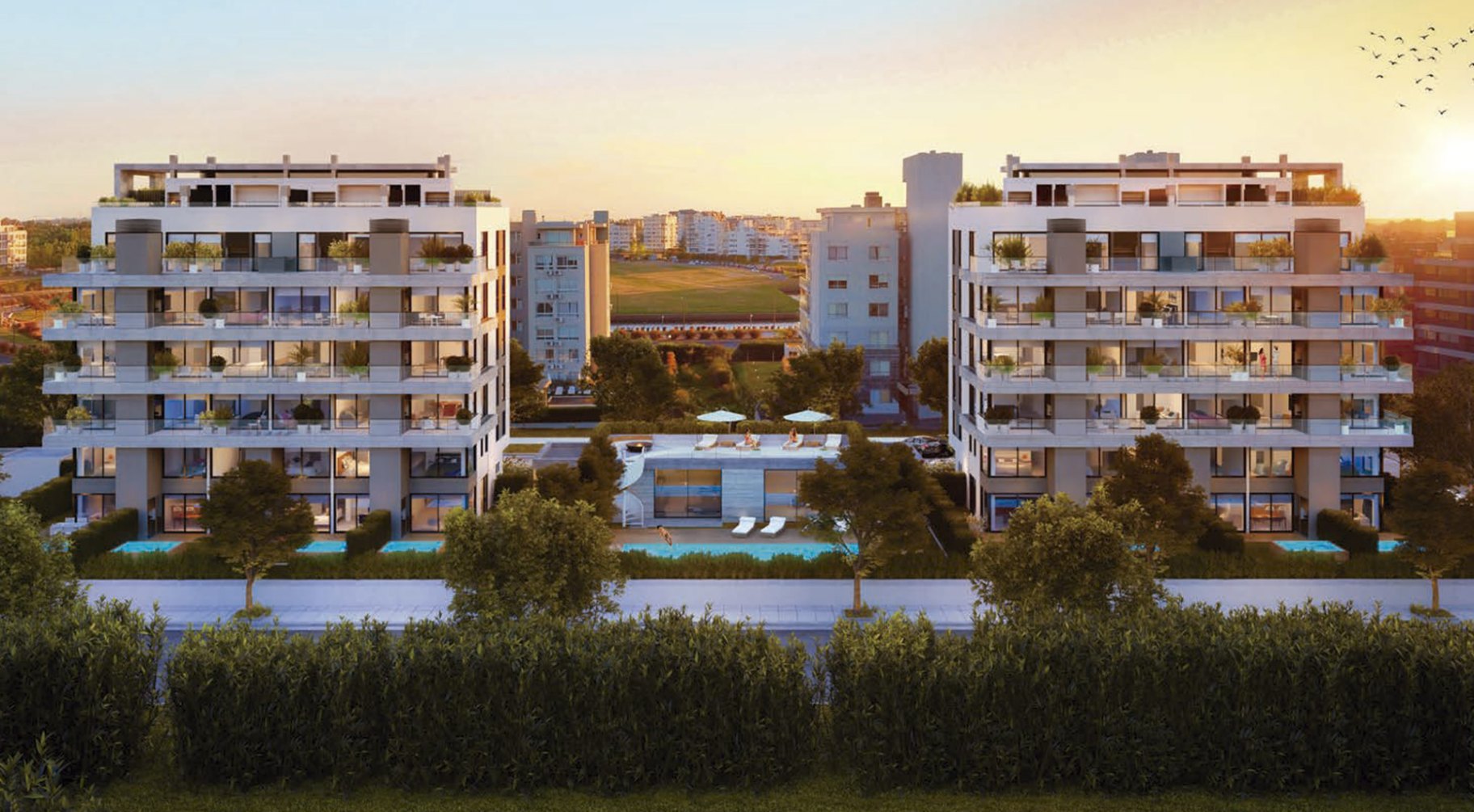 Albor-hernan-ferrero